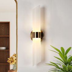 a wall light that is next to a plant