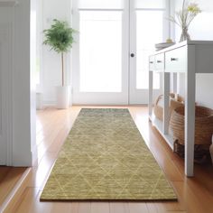 a large rug is on the floor in front of a white door and potted plant