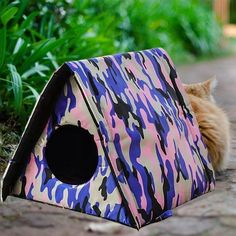 an orange cat laying on the ground next to a pink and blue camouflage print house