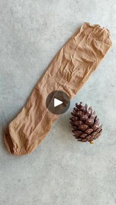 a piece of brown paper next to a pine cone on top of a cement floor