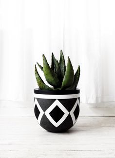 a black and white potted plant sitting on top of a table