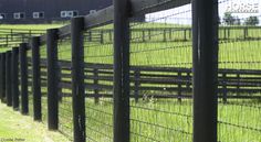 the fence is made of black iron and has grass growing on it, along with an open field