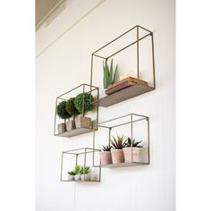 three metal shelvings with plants on them hanging from the side of a wall