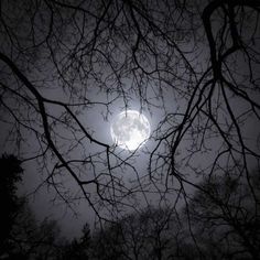 the moon is seen through some branches in the night sky, with no leaves on it