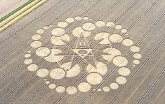 an aerial view of a field with circles drawn on it in the center and two rows of crops