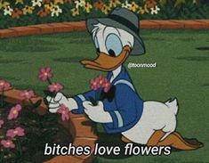 A Cartoon, Love Flowers, Donald Duck, Flowers