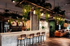 a bar with lots of plants hanging from it's ceiling and stools in front of the bar