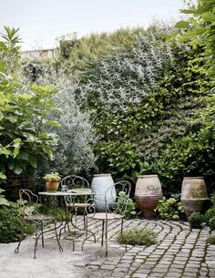 an outdoor table and chairs in the middle of a garden surrounded by greenery, shrubs and potted plants