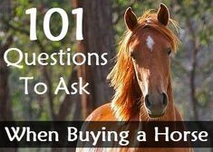 a brown horse standing in front of trees with the words 101 questions to ask when buying a horse