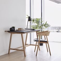 two chairs and a desk in front of a window with a plant on the table