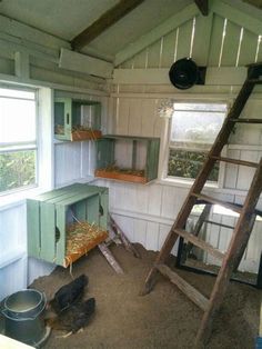 a ladder is in the middle of a room with shelves and other items on it