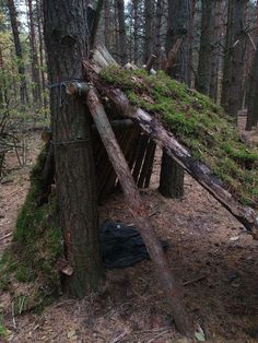 an old wooden shelter in the woods with moss growing on it's roof and walls