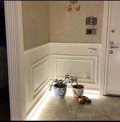 two potted plants sitting on the floor in front of a white door and wall