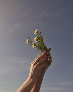 a person holding flowers up in the air with their hands on top of each other