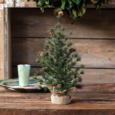 a small pine tree sitting on top of a wooden table next to a cup and saucer