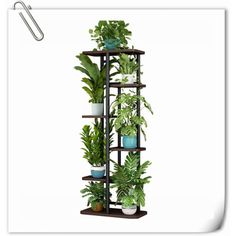 a tall wooden shelf filled with potted plants