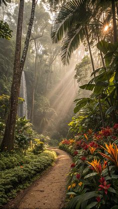 the sun shines through the trees and leaves in this tropical forest scene with a path leading to a waterfall