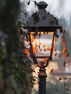 an old fashioned street light with leaves on it