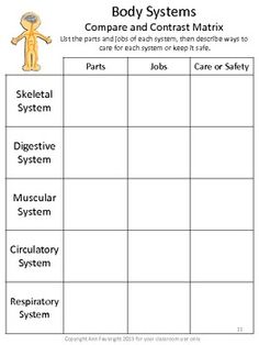 the body systems worksheet for children to learn how to use it in their classroom