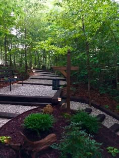 a pathway in the middle of a forest with benches