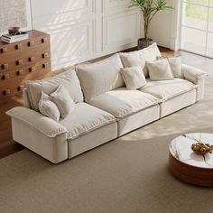 a living room with a couch, coffee table and plant in the corner on the floor