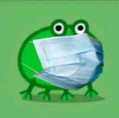 a green frog wearing a surgical mask