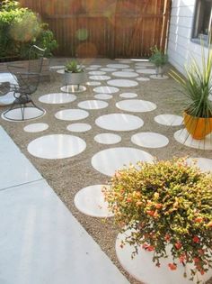 an outdoor patio with white circles on the ground and potted plants next to it