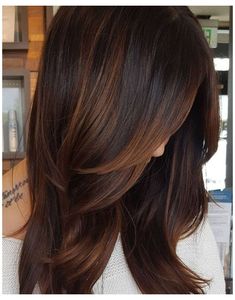 Highlights For Dark Brown Hair, Jamie Chung, Chocolate Brown Hair, Redken Shades Eq, Dark Hair With Highlights, Trendy Hair Color, Hair Color Highlights, Dark Brown Hair