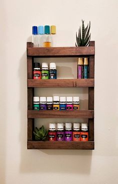 a wooden shelf filled with lots of different types of medicine bottles and an aloenized succulent