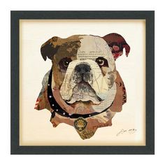 an image of a bulldog with many different things on it's face and neck