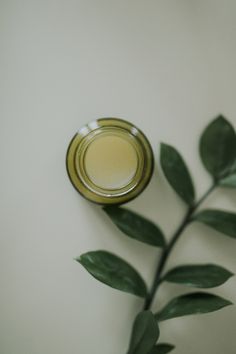 Our Healing Balm is made with our very own calendula oil & lavender leaf oil. Use it for dry skin, as a natural lip balm or to help heal bug bites & rashes. This balm is made with  all organic & locally sourced ingredients. Lavender Leaves, Healing Balm, Calendula Oil, Carrot Seed Oil, Sage Essential Oil, Plant Based Skincare, Natural Lip Balm, Organic Plants, Natural Lips