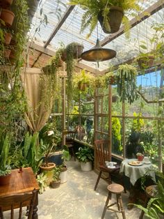 a room filled with lots of green plants and potted plants