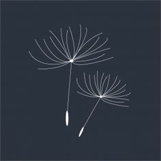 two dandelions on a dark background with the words, i love you in white