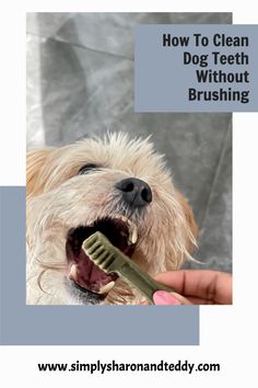 a dog brushing its teeth with a toothbrush in it's mouth and the words how to clean dog teeth without brushing