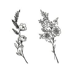 two flowers are drawn in black ink on white paper