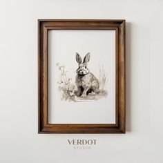 a black and white photo of a rabbit in a frame hanging on the wall next to a plant