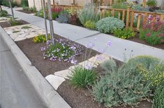 an outdoor garden with flowers and plants in the front yard, next to a wooden fence