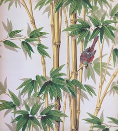 a bird sitting on top of a bamboo tree next to tall green plants and leaves