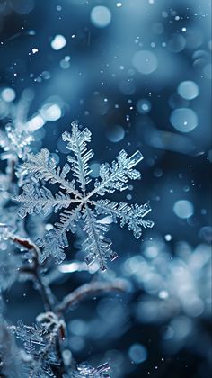 a snowflake is shown in the foreground with water droplets on it and blurry background