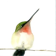 a watercolor painting of a hummingbird sitting on a branch with its beak open