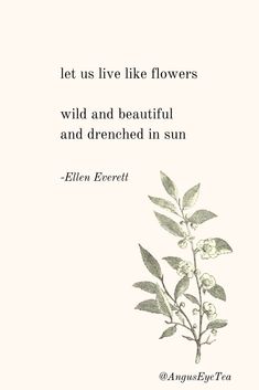 an image of a flower with the quote let us live like flowers wild and beautiful and dried in sun