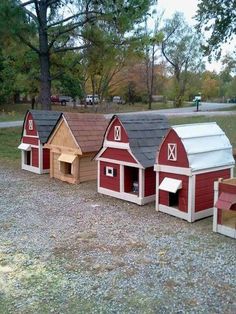 a row of red and white chicken coops on gravel ground with trees in the background