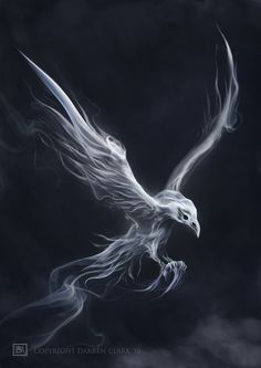 White Raven Aesthetic, White Raven Art, Black And White Raven, Shadow Raven Fantasy Art, Form Reference, Raven Open Wings, Raven Artwork, White Raven, White Crow