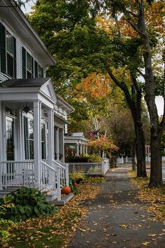 a street lined with white houses and lots of fall leaves on the ground in front of them