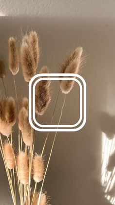 iOS 14, App Icon, Widgetsmith, Nude Aesthetic App Icon Widgetsmith, Widgetsmith App Icon, Widgetsmith Icon, Logo Apps, Ios14 Icons, Plain Wallpaper Iphone, Beige Icons, Desktop Themes, Beige Icons:)