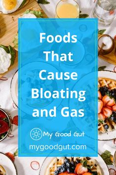 Gas, bloating and flatulence may be a sign of something serious such as gluten intolerance, malabsorption, or food intolerance. Let’s explore the foods that cause gas, bloating, and flatulence. https://mygoodgut.com/foods-that-cause-gas-bloating-and-flatulence/?utm_source=pinterest&utm_medium=mygoodgut&utm_campaign=publer #food #bloating #flatulence Food That Causes Bloat, Foods That Cause Indigestion, Foods To Stop Bloat, Food That Causes Belly Bloat, Low Gas Foods, Anti Gas Diet, Foods That Cause Bloat And Gas, Foods For Gas Relief