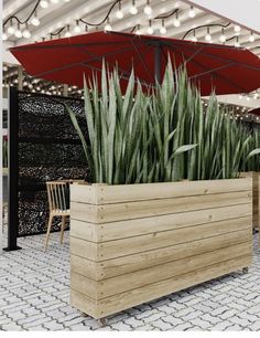 a large planter filled with lots of green plants