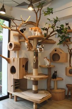 several cats are sitting on top of the cat tree in this living room with lots of wood