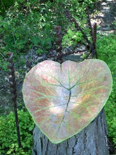 a heart shaped leaf on top of a tree stump