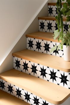 the stairs are decorated with black and white star patterned tiles, along with a potted plant